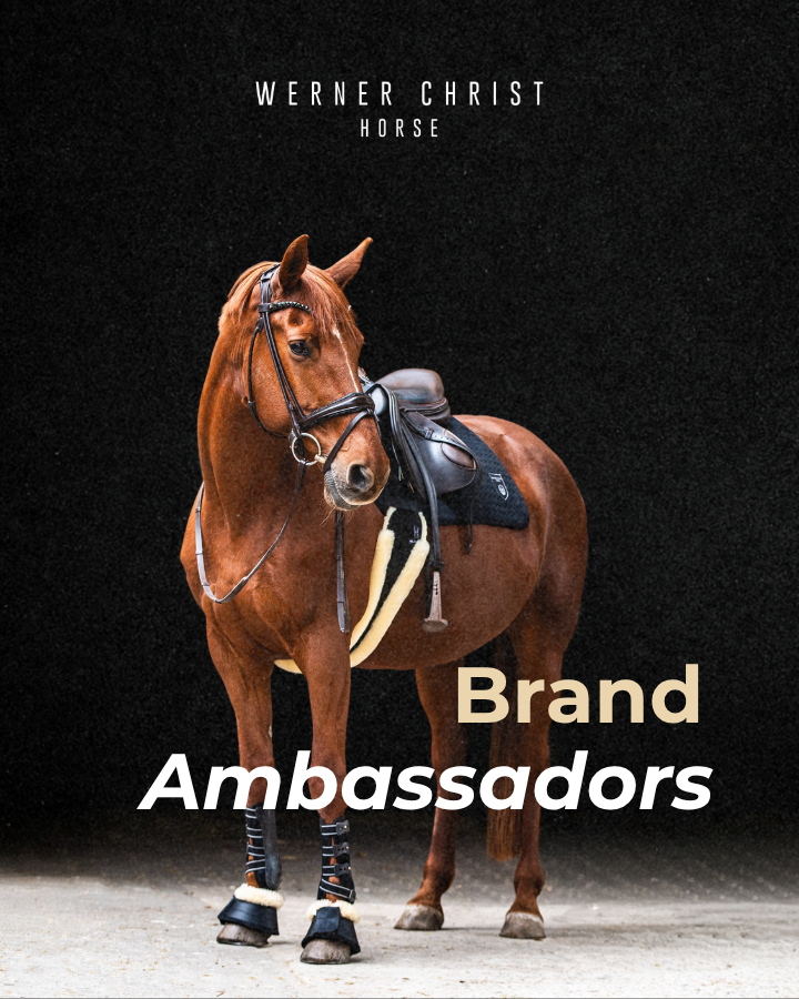brown Horse